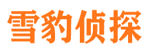 莱城外遇出轨调查取证